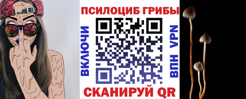 блэк спрут как зайти  купить  сайты  Алагир  Псилоцибиновые грибы мухоморы 